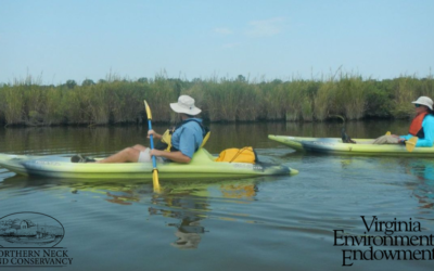 Land Conservancy Wins $20k Grant from Virginia Environmental Endowment for Community Conservation