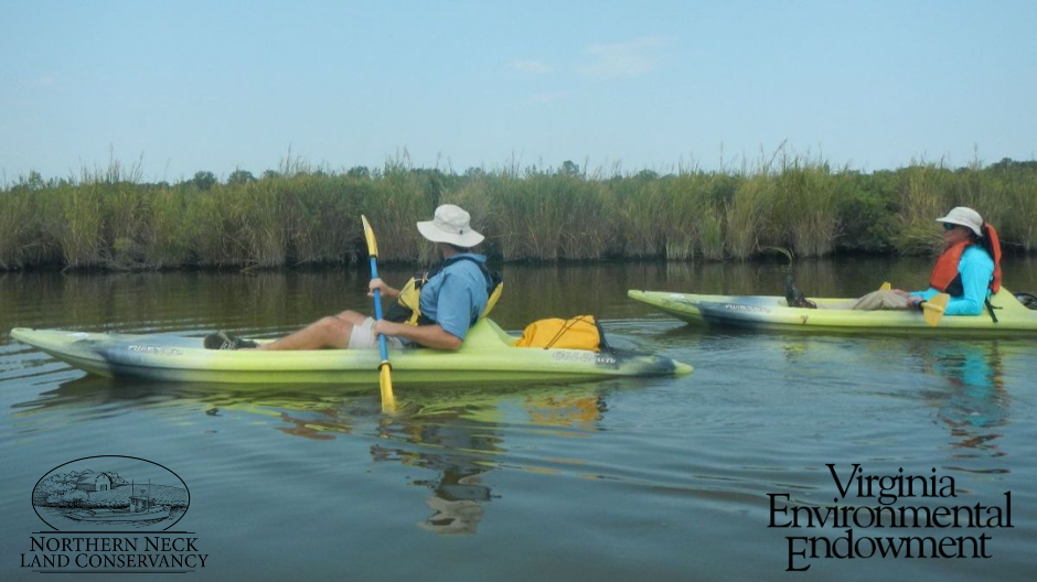 Land Conservancy Wins $20k Grant from Virginia Environmental Endowment for Community Conservation