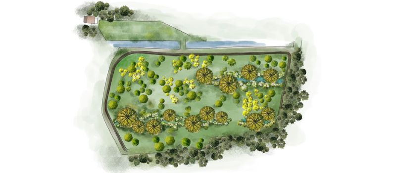 Coming Soon: Restored Wetlands Along Ball Creek in Northumberland County