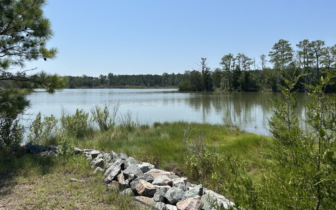 Bay View Plays a Role in Updating the Digital Atlas of the Virginia Flora