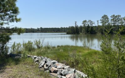 Bay View Plays a Role in Updating the Digital Atlas of the Virginia Flora
