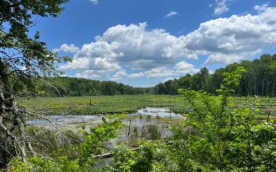 Caledon State Park Acquires 455 Acres