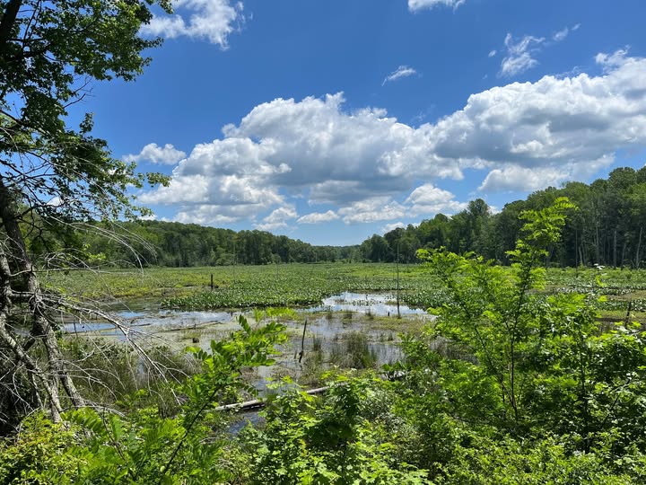 Caledon State Park Acquires 455 Acres