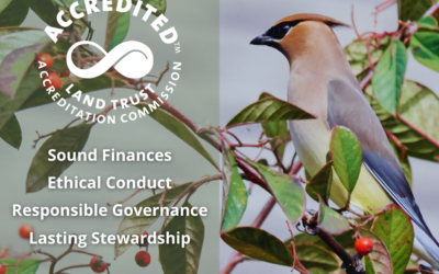 Northern Neck Land Conservancy Earns National Recognition for Commitment to Conservation Excellence, Community