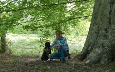 A Letter from Katharina Bergdoll, Naturalist and Painter